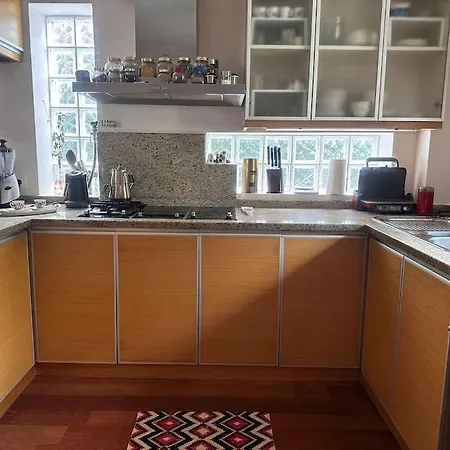 Apartament With Jacuzzi And Garden Zekeriyakoy *