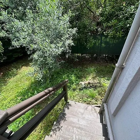 With Jacuzzi And Garden Zekeriyakoy * Stambuł