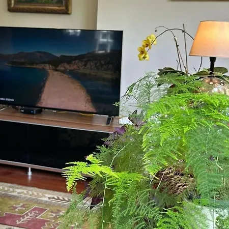 Apartament With Jacuzzi And Garden Zekeriyakoy